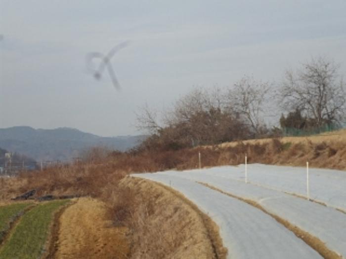경상남도 창녕군 대지면 본초리 871-6 대지 경매 사진 14