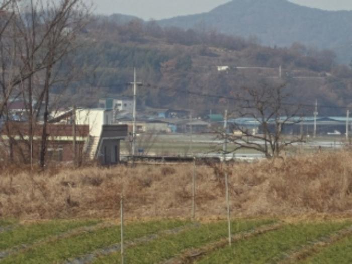 경상남도 창녕군 대지면 본초리 871-6 대지 경매 사진 15