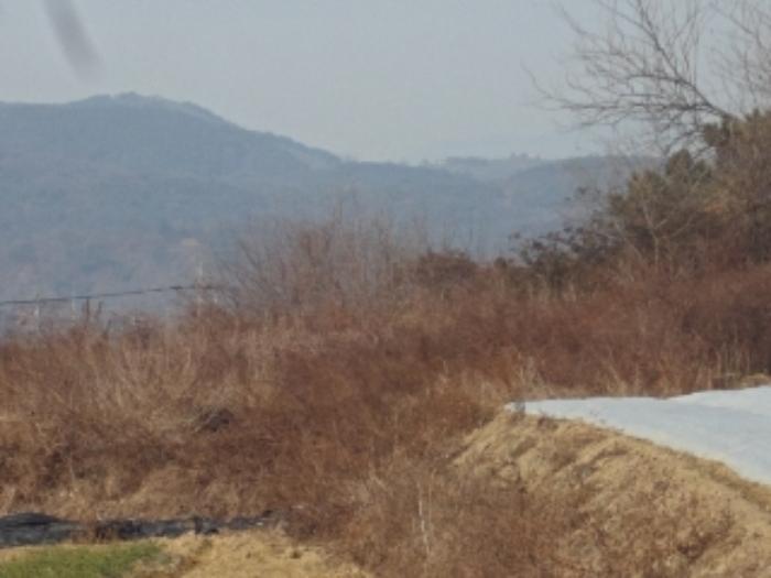 경상남도 창녕군 대지면 본초리 871-6 대지 경매 사진 16