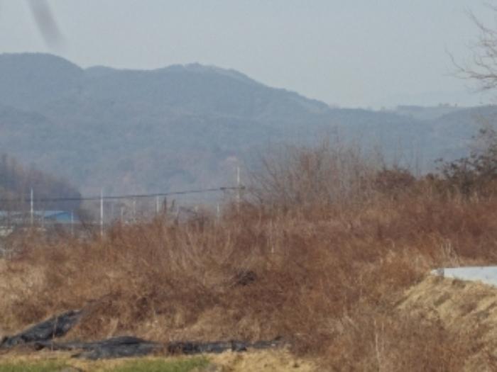 경상남도 창녕군 대지면 본초리 871-6 대지 경매 사진 17