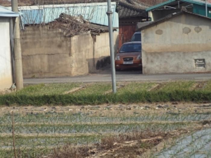 경상남도 창녕군 대지면 본초리 871-6 대지 경매 사진 19