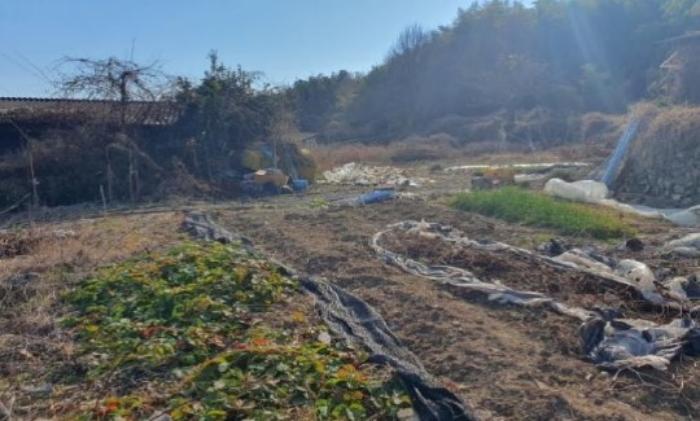 경상남도 창녕군 길곡면 마천리 720 대지 경매 사진 2