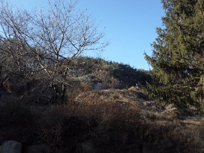 경상남도 창녕군 계성면 사리 866 답 경매 사진 11