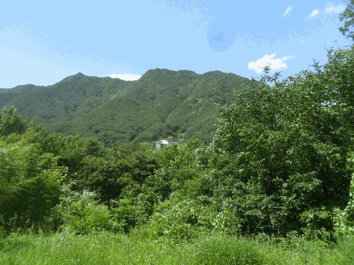 경상남도 창녕군 계성면 사리 866 답 경매 사진 3