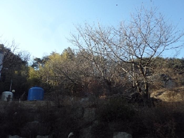 경상남도 창녕군 계성면 사리 876 답 경매 사진 10