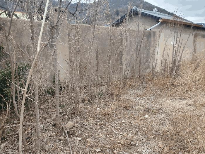 경상남도 창녕군 영산면 성내리 473-2 대지 경매 사진 2