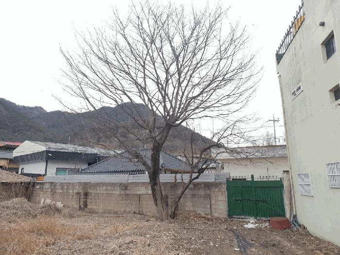 경상남도 창녕군 영산면 성내리 473-2 대지 경매 사진 6