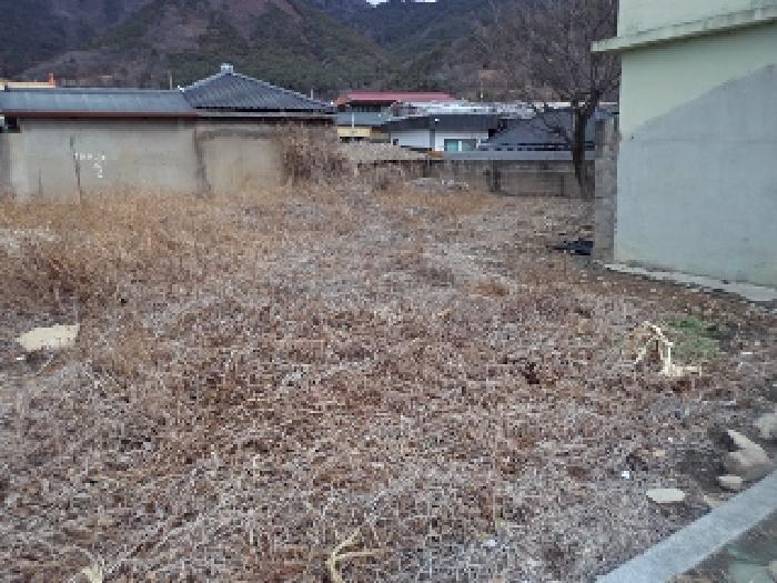 경상남도 창녕군 영산면 성내리 473-2 대지 경매 사진 9