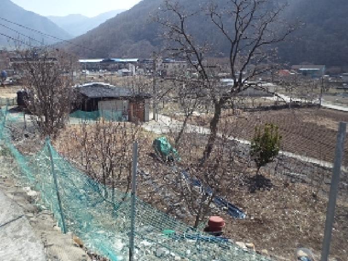 경상남도 밀양시 단장면 구천리 1993 대지 경매 사진 13