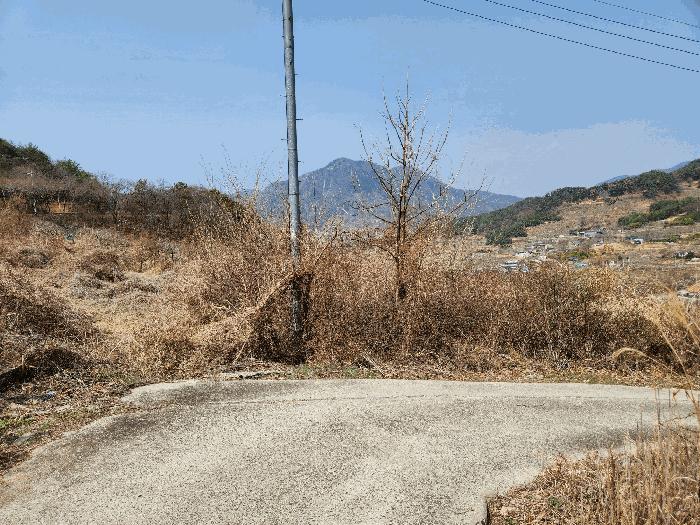 경상남도 밀양시 상동면 신곡리 777 답 경매 사진 3