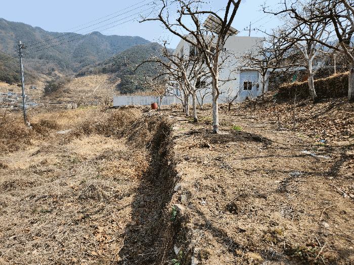 경상남도 밀양시 상동면 신곡리 777 답 경매 사진 6