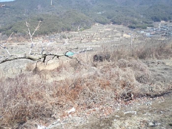경상남도 밀양시 상동면 신곡리 777 답 경매 사진 7