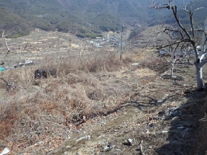 경상남도 밀양시 상동면 신곡리 777 답 경매 사진 8