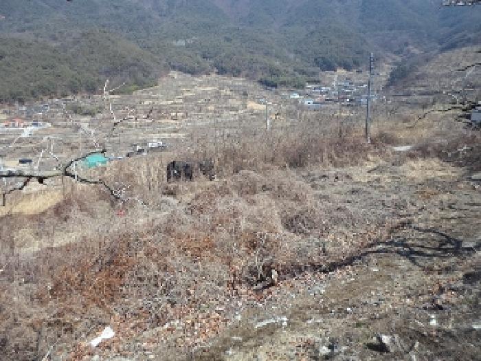 경상남도 밀양시 상동면 신곡리 777 답 경매 사진 9