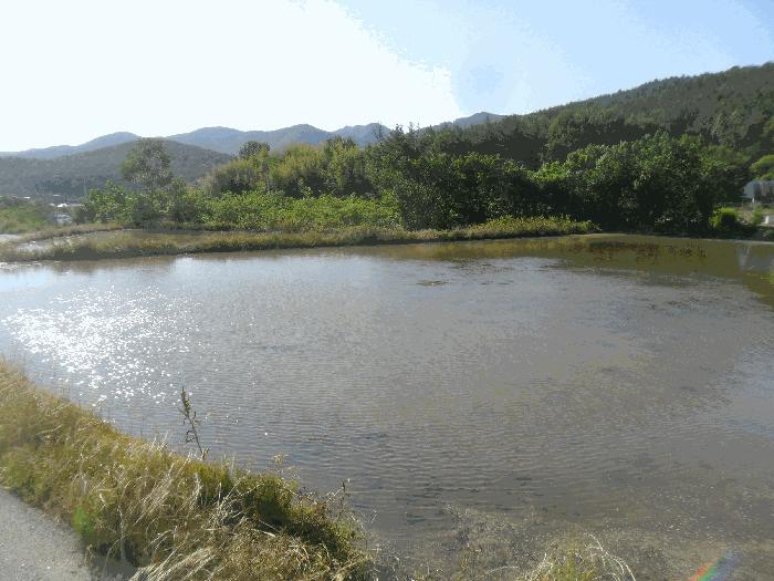경상남도 밀양시 부북면 무연리 307 전 경매 사진 1