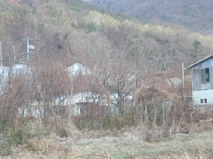 경상남도 밀양시 부북면 무연리 307 전 경매 사진 3