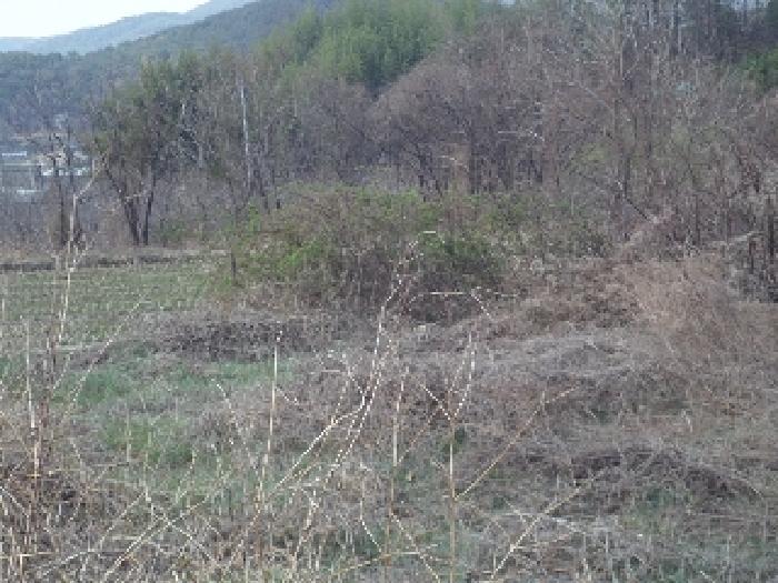 경상남도 밀양시 부북면 무연리 307 전 경매 사진 6