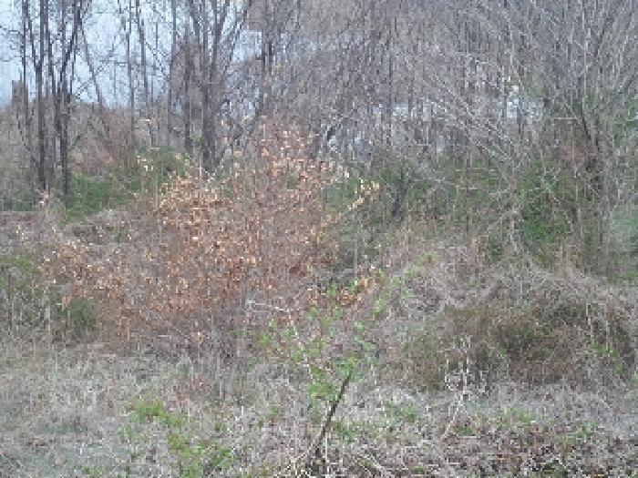 경상남도 밀양시 부북면 무연리 307 전 경매 사진 8