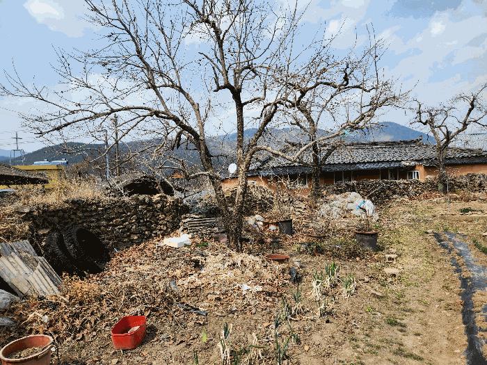 경상남도 밀양시 상동면 고정리 1789 대지 경매 사진 5