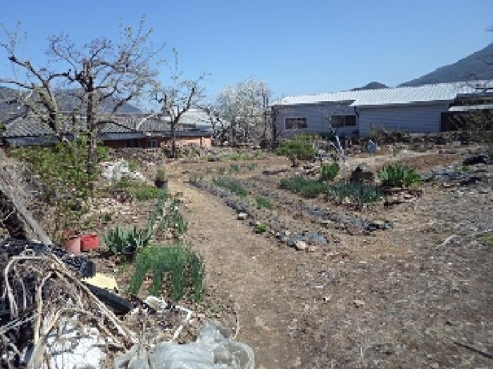 경상남도 밀양시 상동면 고정리 1789 대지 경매 사진 9