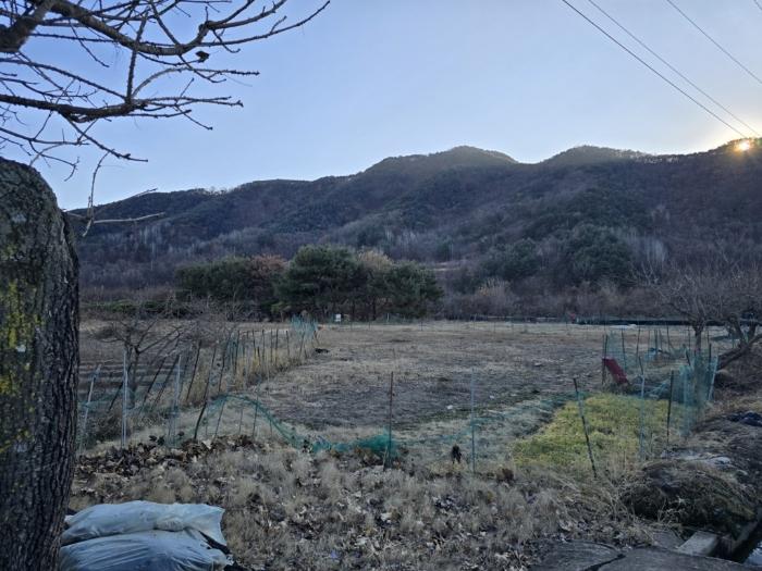 경상남도 밀양시 부북면 가산리 133 전 경매 사진 1