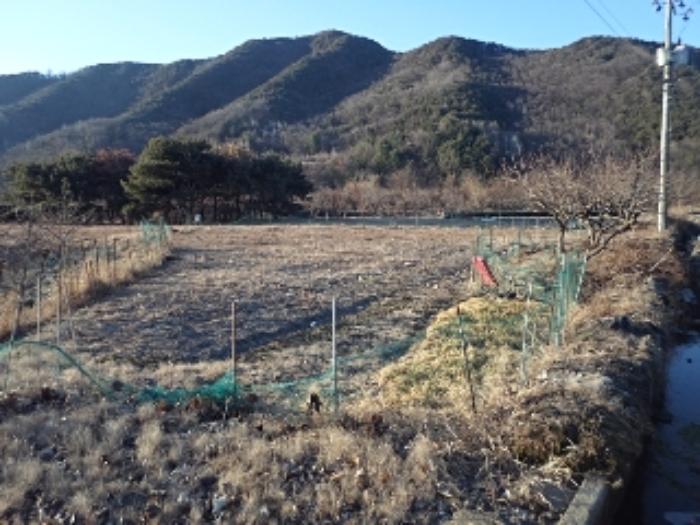 경상남도 밀양시 부북면 가산리 133 전 경매 사진 10