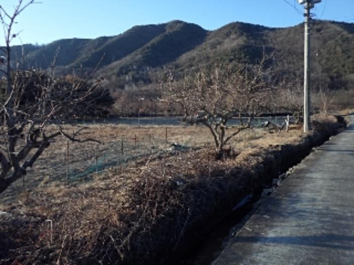 경상남도 밀양시 부북면 가산리 133 전 경매 사진 12