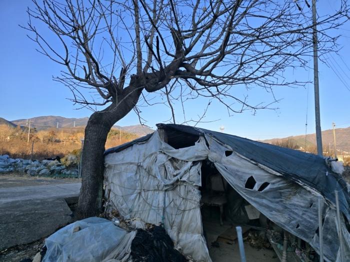 경상남도 밀양시 부북면 가산리 133 전 경매 사진 3