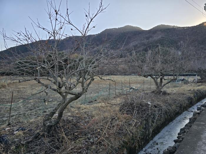 경상남도 밀양시 부북면 가산리 133 전 경매 사진 4