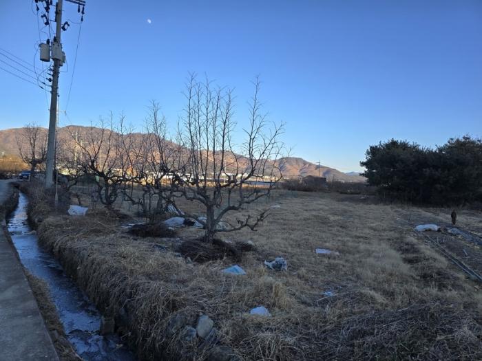 경상남도 밀양시 부북면 가산리 133 전 경매 사진 5