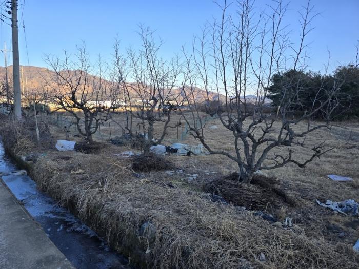 경상남도 밀양시 부북면 가산리 133 전 경매 사진 7