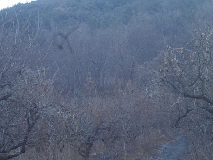 경상남도 창녕군 길곡면 오호리 494 전 경매 사진 4