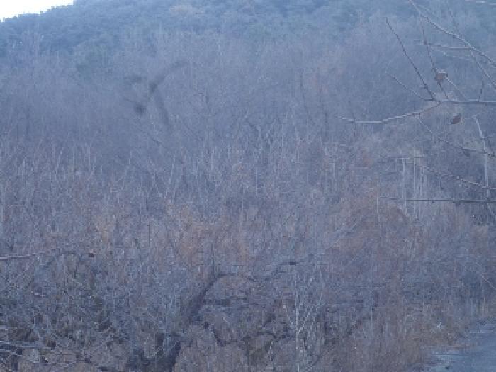 경상남도 창녕군 길곡면 오호리 494 전 경매 사진 5