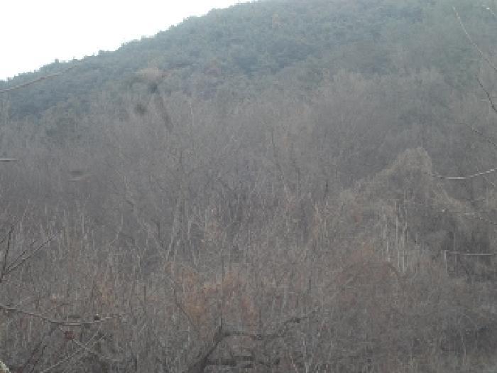 경상남도 창녕군 길곡면 오호리 494 전 경매 사진 6