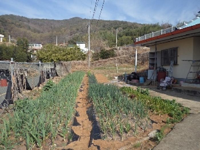 경상남도 창녕군 길곡면 증산리 400 주택 경매 사진 24
