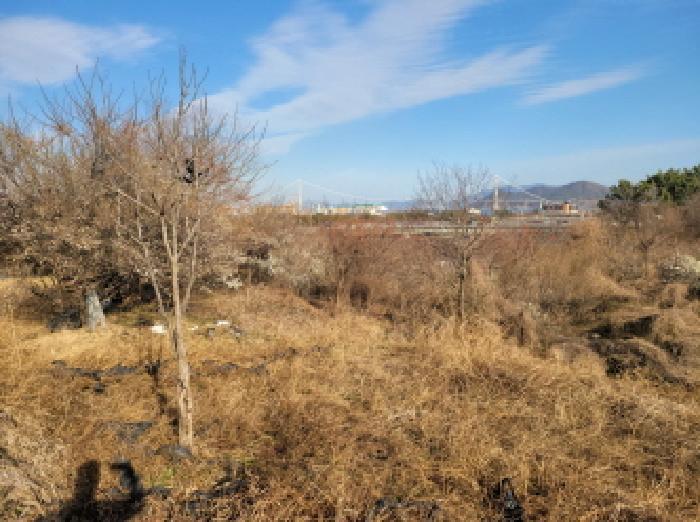 전라남도 광양시 황길동 산173-1 임야 경매 사진 32