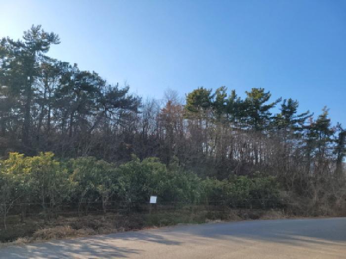 전라남도 광양시 황길동 산176-4 임야 경매 사진 27
