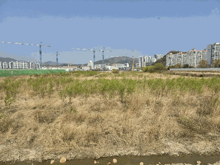 전라남도 순천시 풍덕동 324-4 답 경매 사진 10