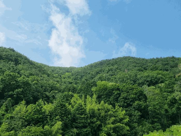 전라남도 여수시 임야
