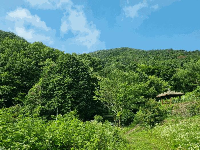 전라남도 여수시 율촌면 산수리 산103-2 임야 경매 사진 2