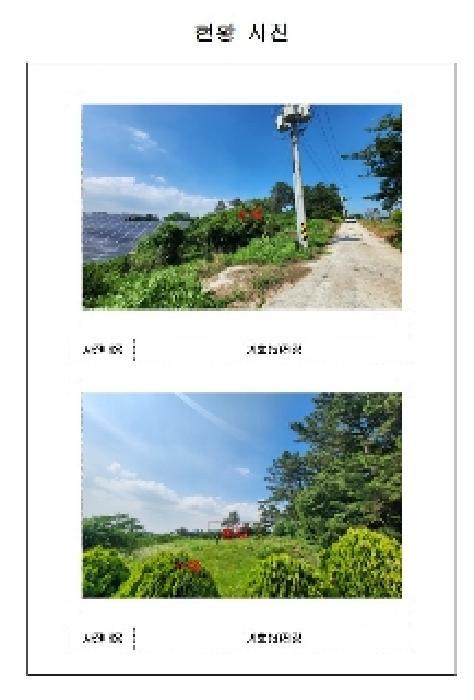 전라남도 영암군 시종면 신흥리 198-31 임야 경매 사진 24