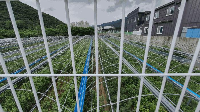 전라남도 순천시 가곡동 188 답 경매 사진 7