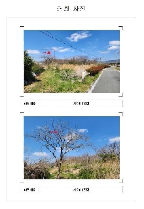 전라남도 영암군 영암읍 역리 411 과수원 경매 사진 4