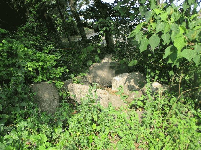 전라남도 무안군 망운면 송현리 1070-3 잡종지 경매 사진 20