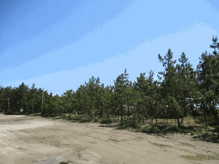 전라남도 무안군 망운면 송현리 1070-3 잡종지 경매 사진 25