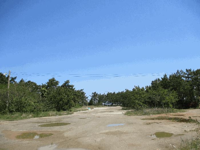전라남도 무안군 망운면 송현리 1070-3 잡종지 경매 사진 3