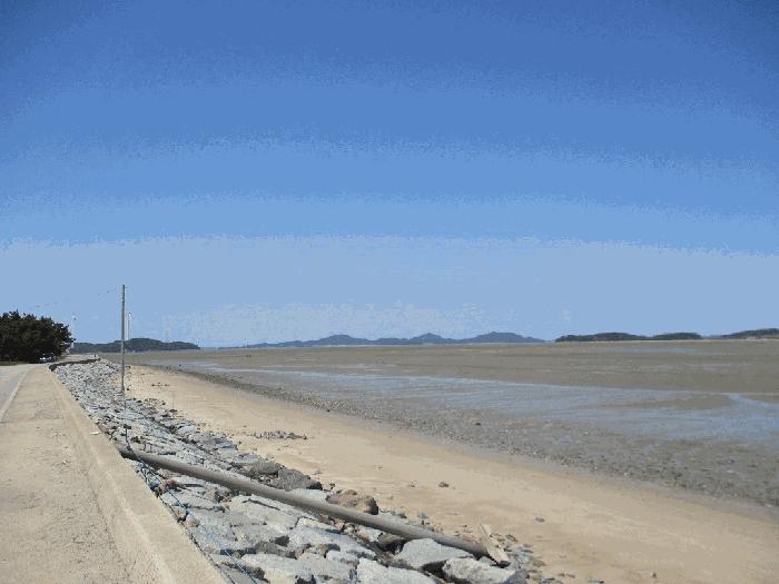 전라남도 무안군 망운면 송현리 1070-3 잡종지 경매 사진 30
