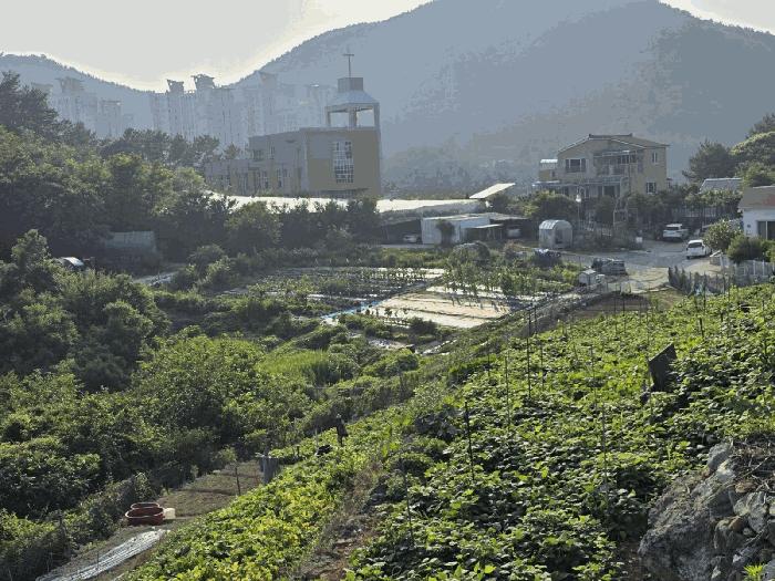경상남도 통영시 용남면 동달리 155 전 경매 사진 10