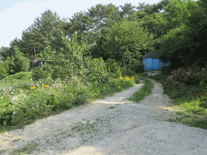 경상남도 통영시 용남면 동달리 155 전 경매 사진 2