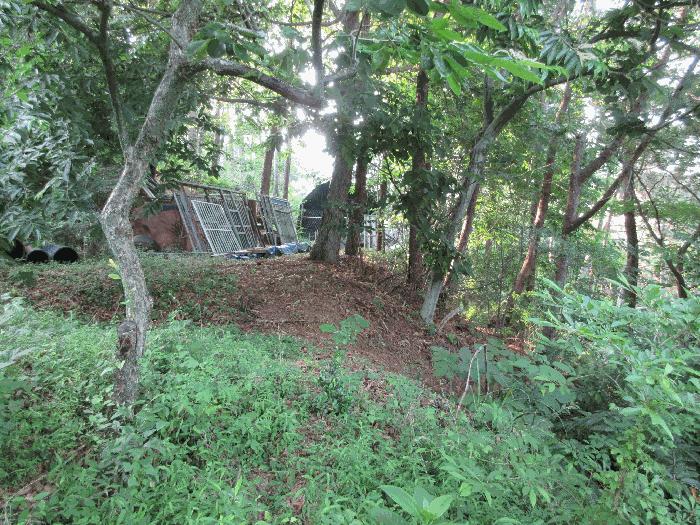 경상남도 통영시 용남면 동달리 155 전 경매 사진 18